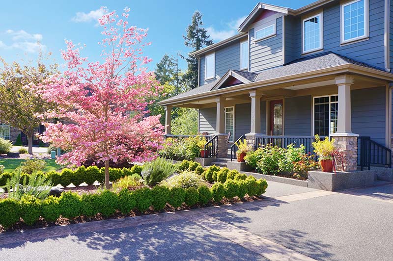 Newly constructed house  with spring blooming pink trees photographed while home inspection services are being preformed.