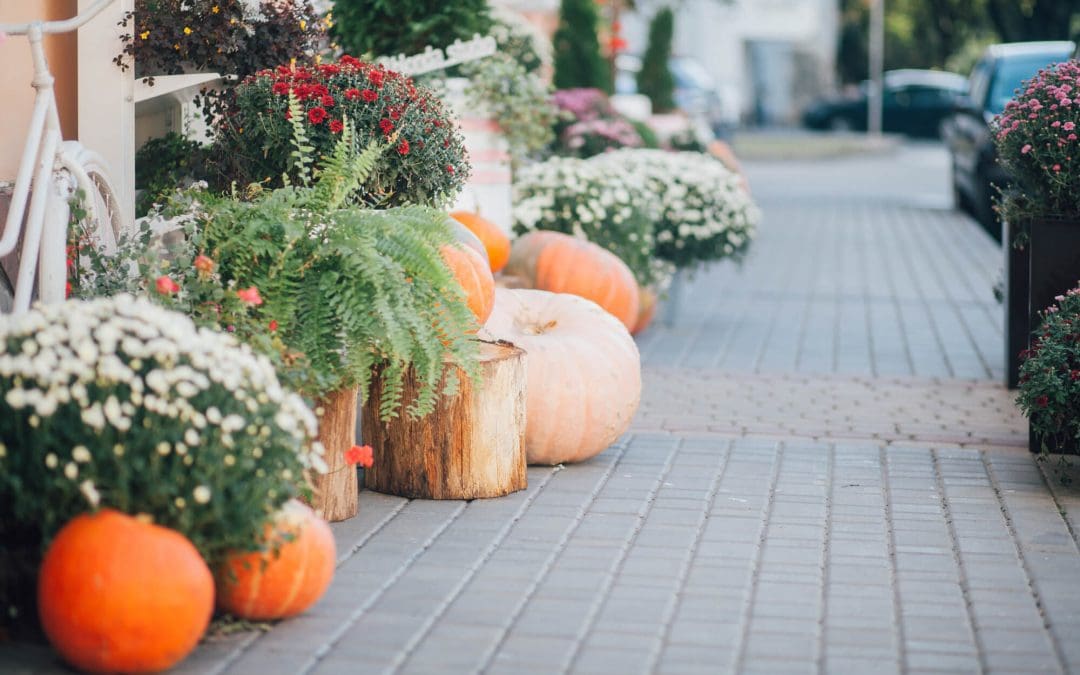 fall curb appeal